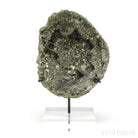 Pyrite Half Nodule from Le Mans, Sarthe, France mounted on a bespoke stand | Venusrox