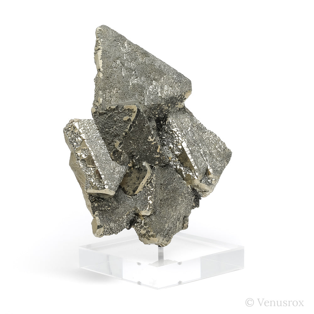 Pyrite Natural Cluster from the Huanzala Mine, Huallanca District, Huanuco Department, Perumounted on a bespoke stand | Venusrox