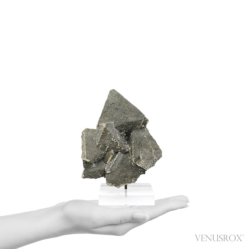 Pyrite Natural Cluster from the Huanzala Mine, Huallanca District, Huanuco Department, Perumounted on a bespoke stand | Venusrox