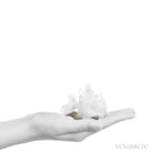 Pyrite with Quartz Natural Cluster from the Huanzala Mine, Huallanca District, Huanuco Department, Peru | Venusrox