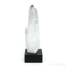 Black Phantom Lemurian Part Polished/Part Natural Point from Brazil mounted on a Bespoke Stand | Venusrox