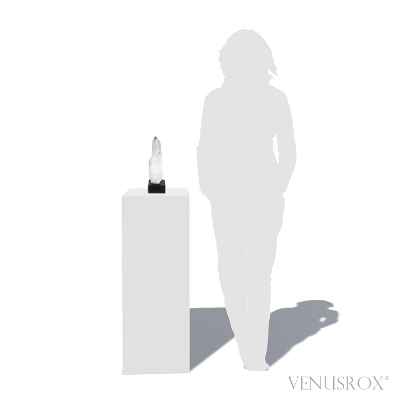 Black Phantom Lemurian Part Polished/Part Natural Point from Brazil mounted on a Bespoke Stand | Venusrox