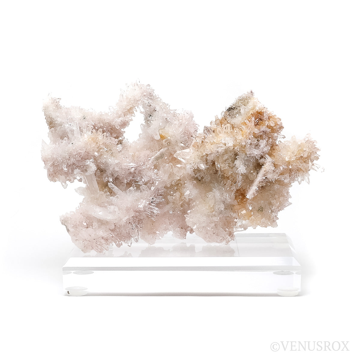 Clear Quartz Natural Cluster from the Santander Province, Colombia mounted on a bespoke stand | Venusrox