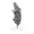 Clear Quartz with Granite Natural Cluster from Brazil mounted on a bespoke stand | Venusrox