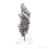Clear Quartz with Granite Natural Cluster from Brazil mounted on a bespoke stand | Venusrox