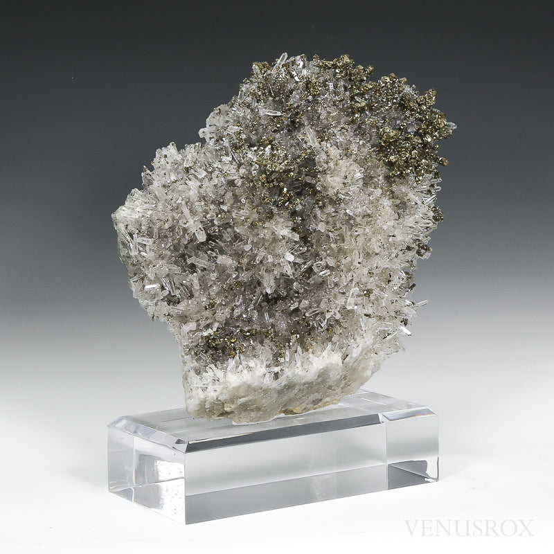 Clear Quartz with Pyrite Natural Cluster from the Trepča Mine, Kosovo mounted on a bespoke stand | Venusrox