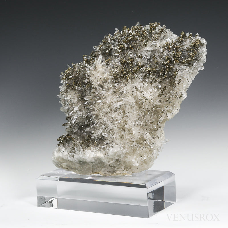 Clear Quartz with Pyrite Natural Cluster from the Trepča Mine, Kosovo mounted on a bespoke stand | Venusrox