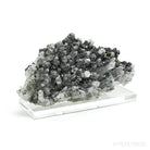 Clear Quartz with Sphalerite & Pyrite Natural Cluster from the Trepča Mining Complex, Trepča Valley, Kosovska Mitrovica, Kosovska Mitrovica District, Kosovo mounted on a bespoke stand | Venusrox