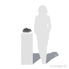 Clear Quartz with Sphalerite & Pyrite Natural Cluster from the Trepča Mining Complex, Trepča Valley, Kosovska Mitrovica, Kosovska Mitrovica District, Kosovo mounted on a bespoke stand | Venusrox