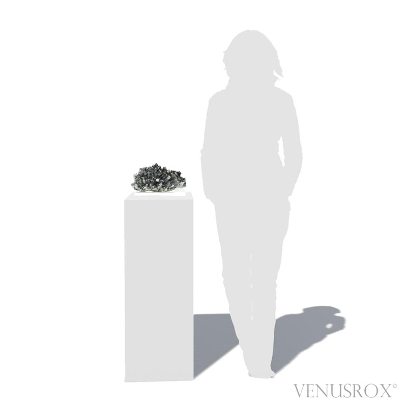 Clear Quartz with Sphalerite & Pyrite Natural Cluster from the Trepča Mining Complex, Trepča Valley, Kosovska Mitrovica, Kosovska Mitrovica District, Kosovo mounted on a bespoke stand | Venusrox