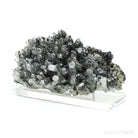 Clear Quartz with Sphalerite & Pyrite Natural Cluster from the Trepča Mining Complex, Trepča Valley, Kosovska Mitrovica, Kosovska Mitrovica District, Kosovo mounted on a bespoke stand | Venusrox