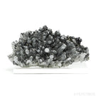 Clear Quartz with Sphalerite & Pyrite Natural Cluster from the Trepča Mining Complex, Trepča Valley, Kosovska Mitrovica, Kosovska Mitrovica District, Kosovo mounted on a bespoke stand | Venusrox