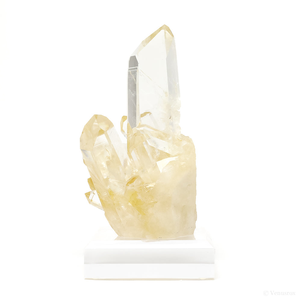 Golden Quartz Natural Cluster | Venusrox
