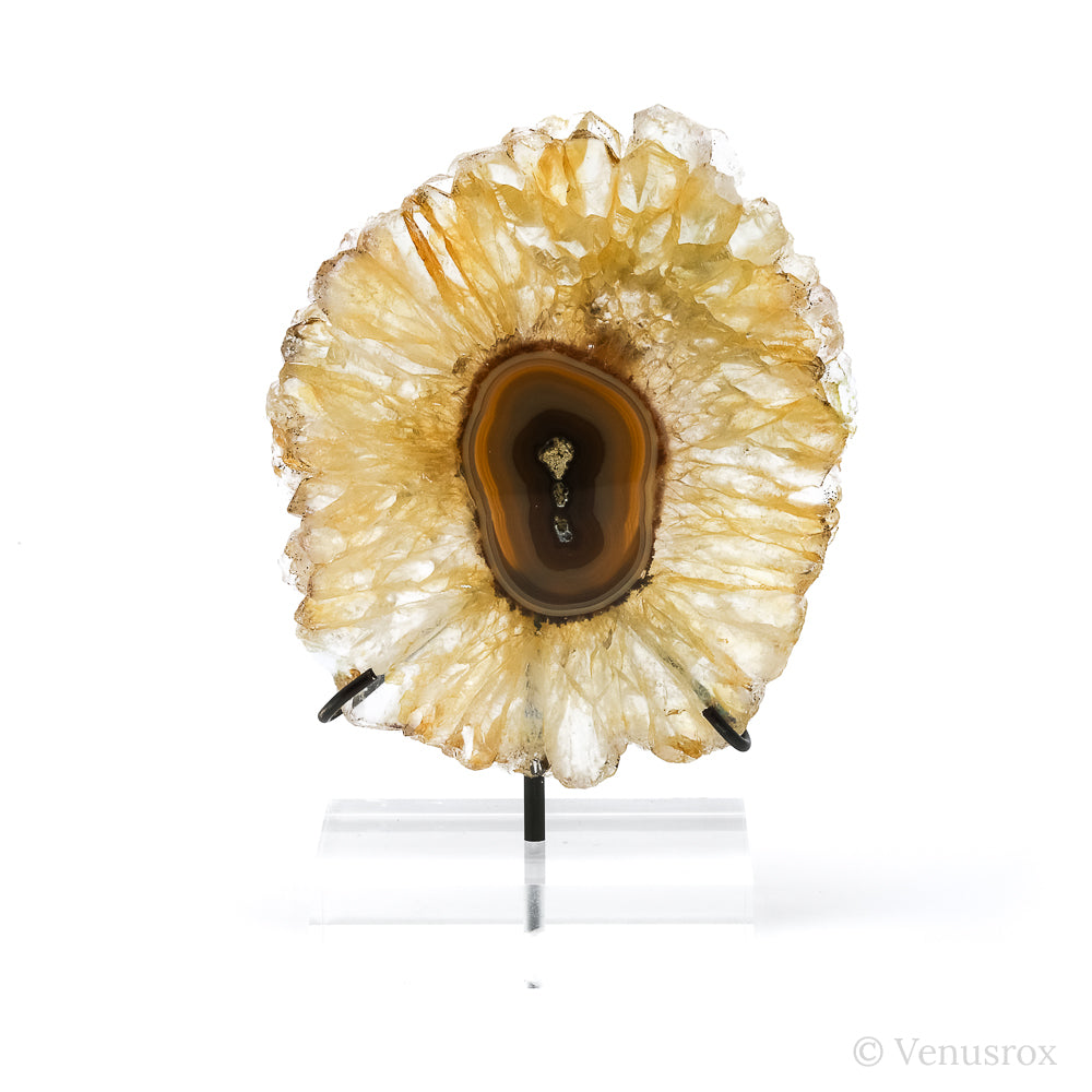 Golden Quartz with Agate Polished Slice from Brazil mounted on a bespoke stand | Venusrox