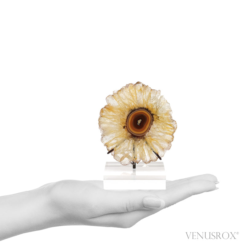 Golden Quartz with Agate Polished Slice from Brazil mounted on a bespoke stand | Venusrox