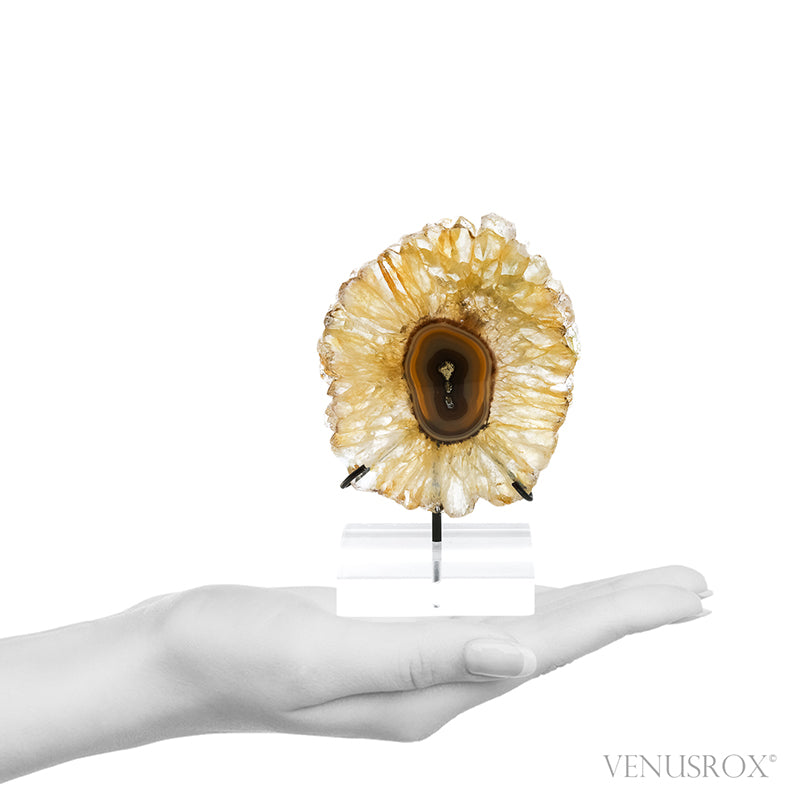 Golden Quartz with Agate Polished Slice from Brazil mounted on a bespoke stand | Venusrox