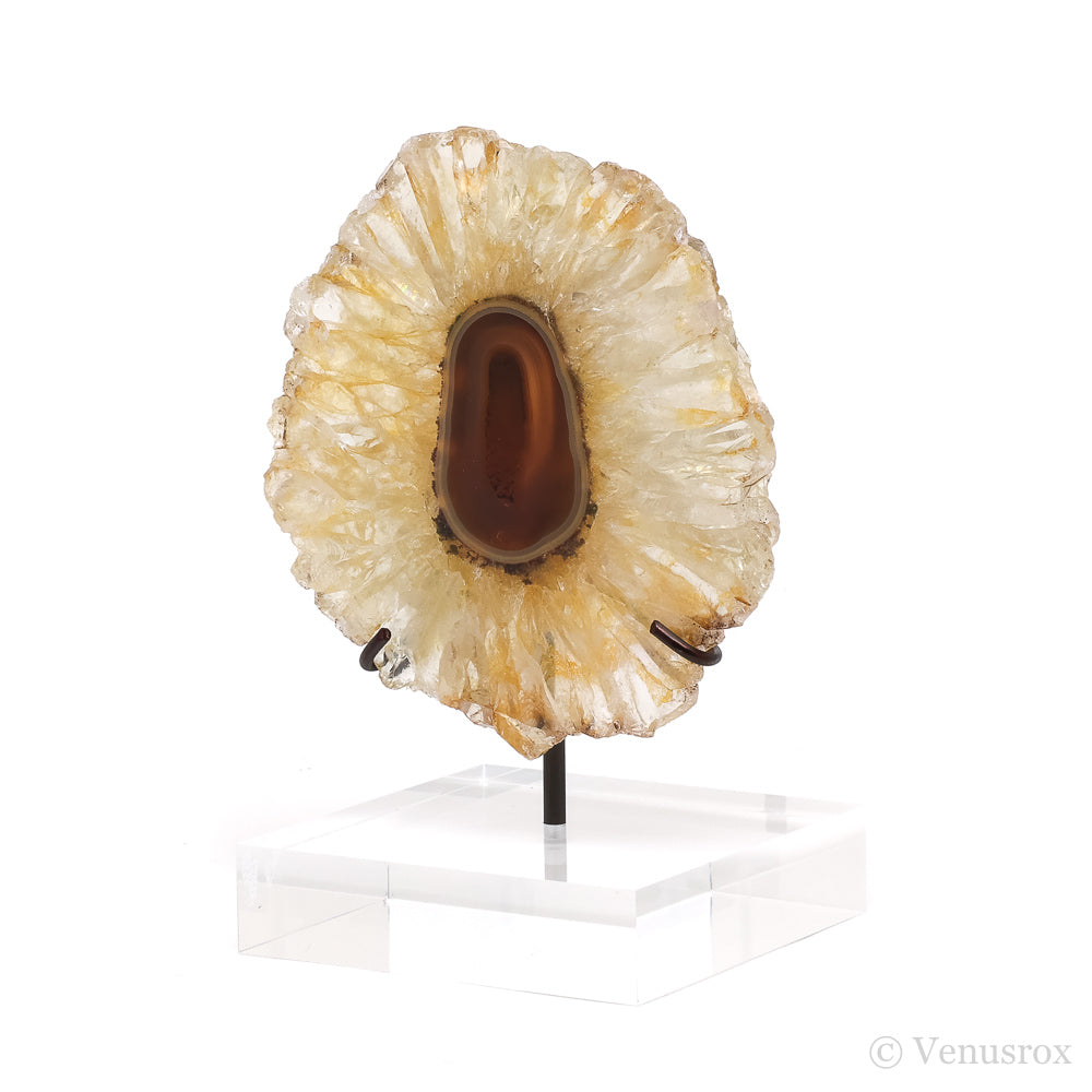 Golden Quartz with Agate Polished Slice from Brazil mounted on a bespoke stand | Venusrox