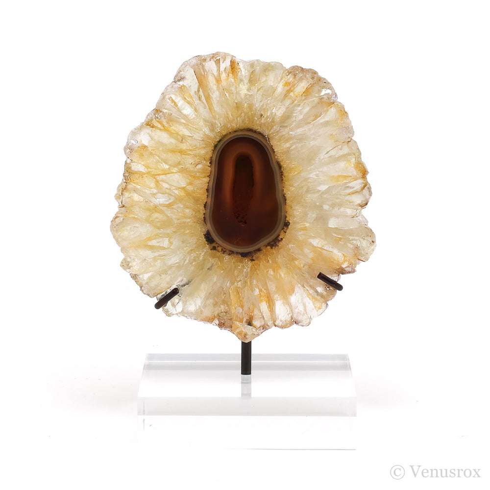Golden Quartz with Agate Polished Slice from Brazil mounted on a bespoke stand | Venusrox