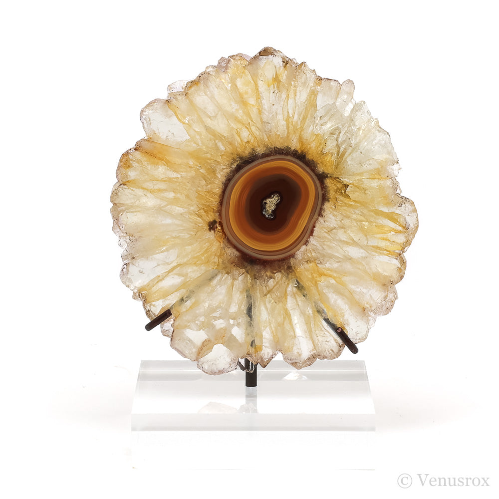 Golden Quartz with Agate Polished Slice from Brazil mounted on a bespoke stand | Venusrox