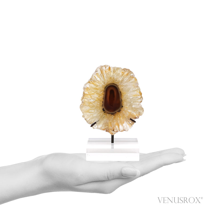 Golden Quartz with Agate Polished Slice from Brazil mounted on a bespoke stand | Venusrox