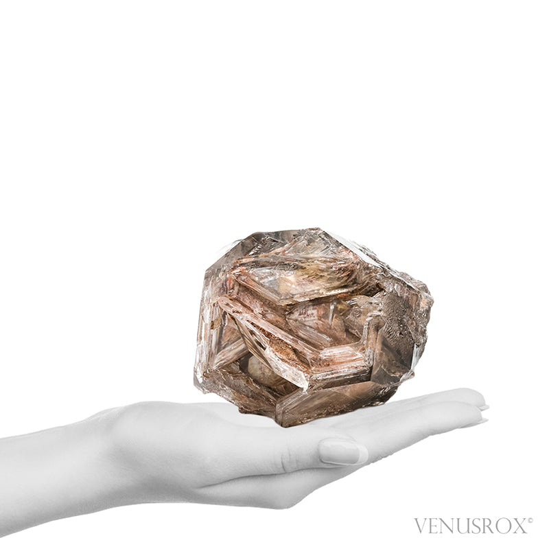 Smoky Elestial Fenster Quartz Natural Point from Brazil | Venusrox