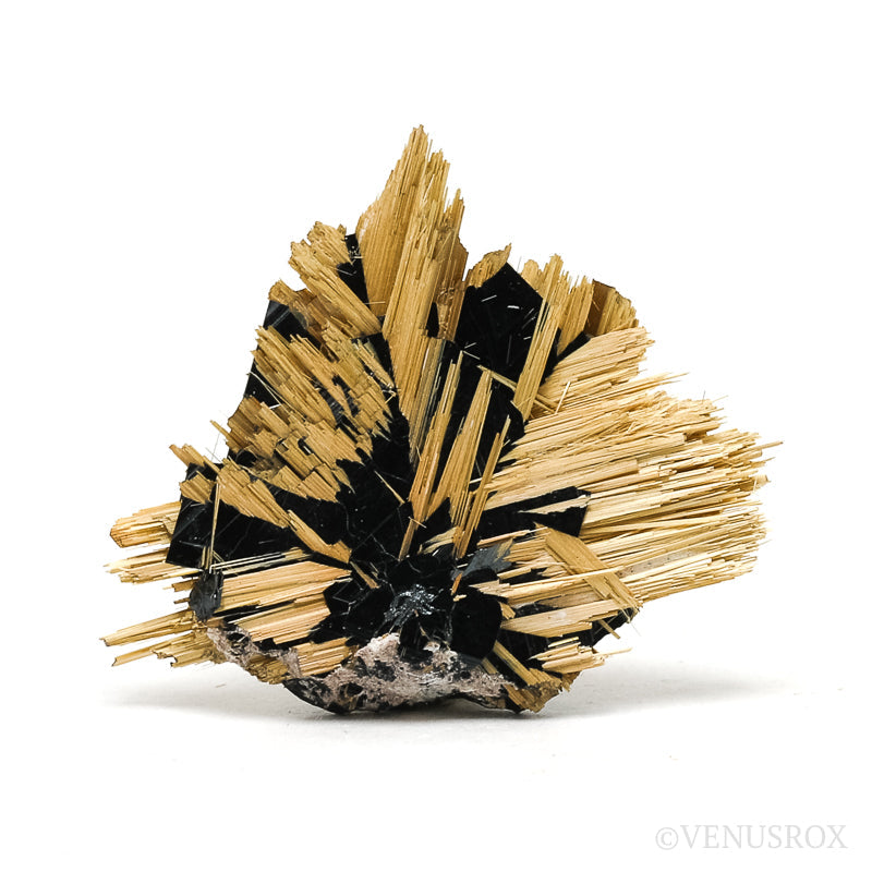 Golden Rutile on Hematite Natural Specimen from Novo Horizonte, Bahia, Brazil | Venusrox