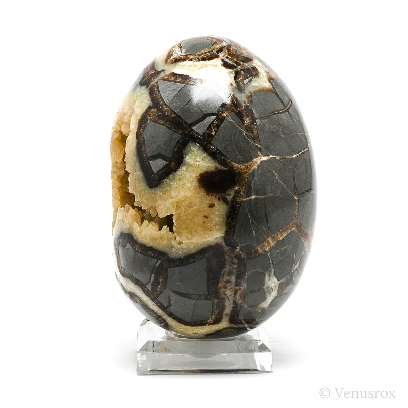 Septarian Geode Egg from Utah, USA | Venusrox