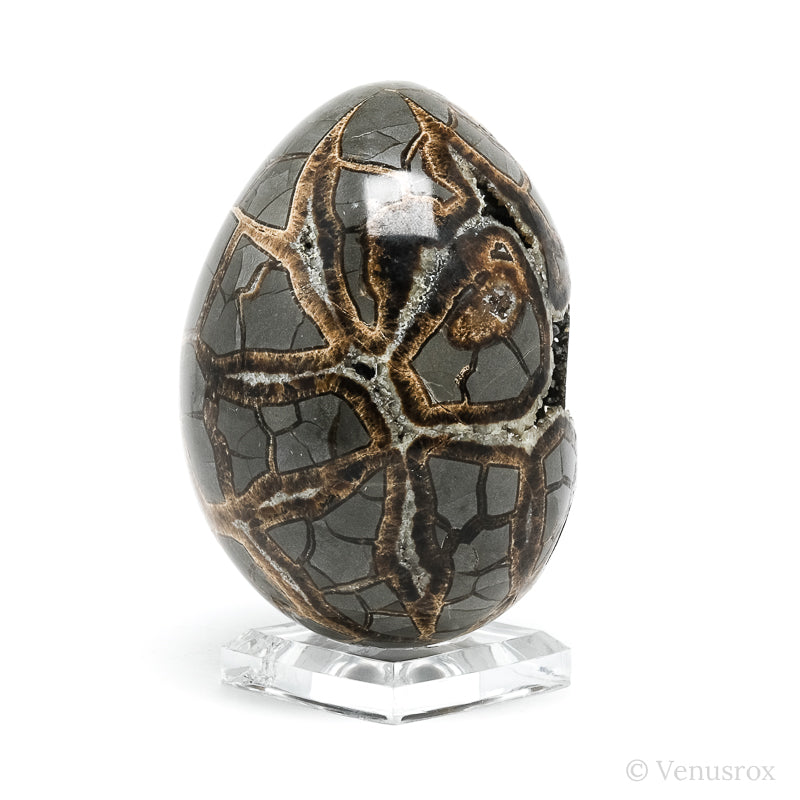 Septarian Geode Egg from Utah, USA | Venusrox