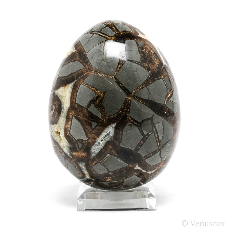 Septarian Geode Egg from Utah, USA | Venusrox