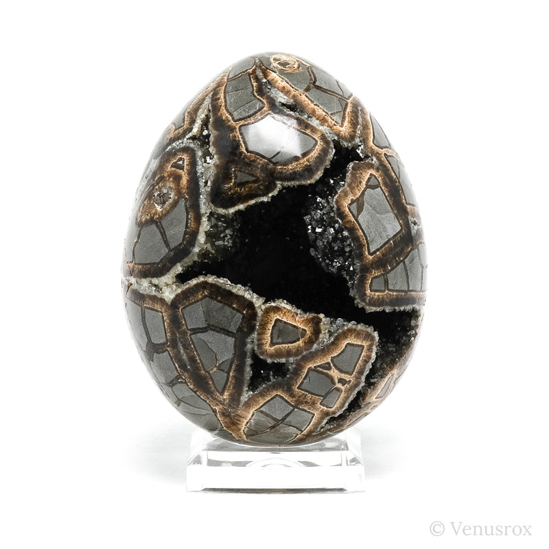 Septarian Geode Egg from Utah, USA | Venusrox