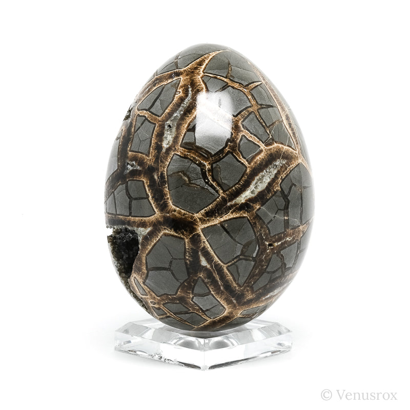 Septarian Geode Egg from Utah, USA | Venusrox