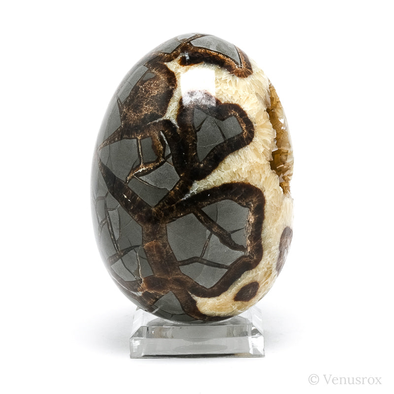 Septarian Geode Egg from Utah, USA | Venusrox