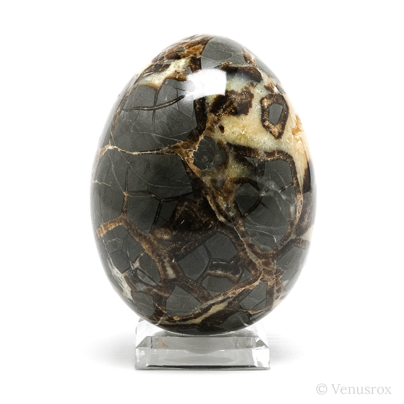 Septarian Geode Egg from Utah, USA | Venusrox
