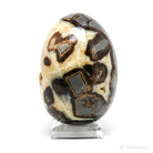 Septarian Geode Egg from Utah, USA | Venusrox