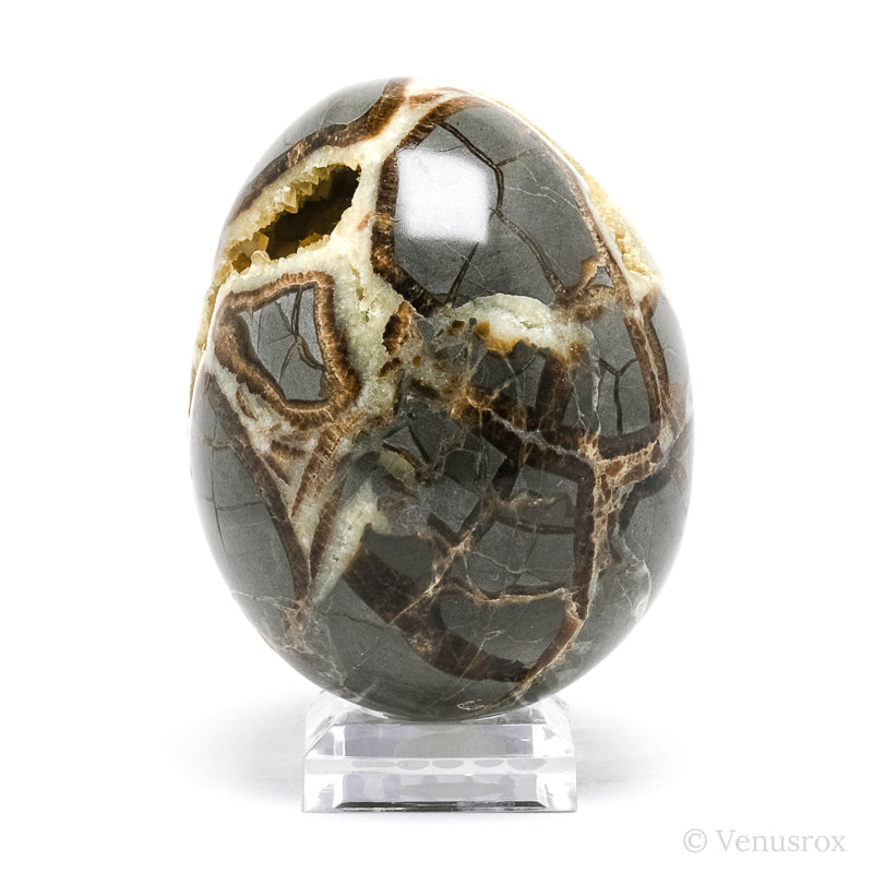 Septarian Geode Egg from Utah, USA | Venusrox