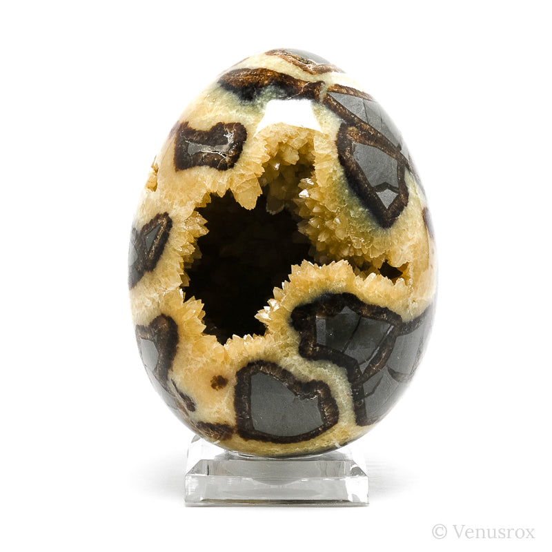 Septarian Geode Egg from Utah, USA | Venusrox