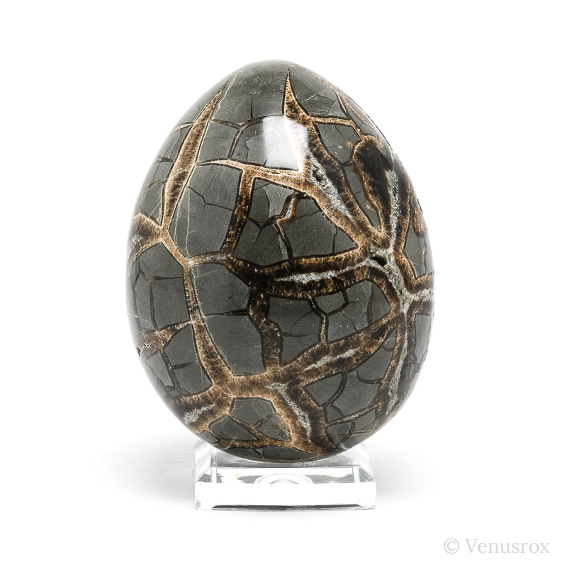 Septarian Geode Egg from Utah, USA | Venusrox