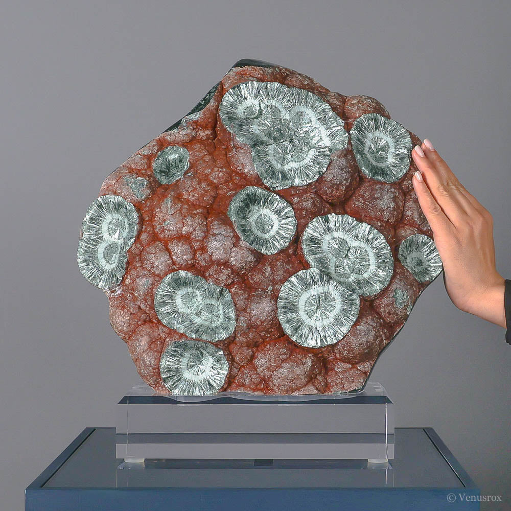 Seraphinite Polished/Natural Crystal from Korshunovskoye Iron Scary Deposit, Irkutskaya Oblast, Siberia, Russia mounted on a bespoke stand | Venusrox