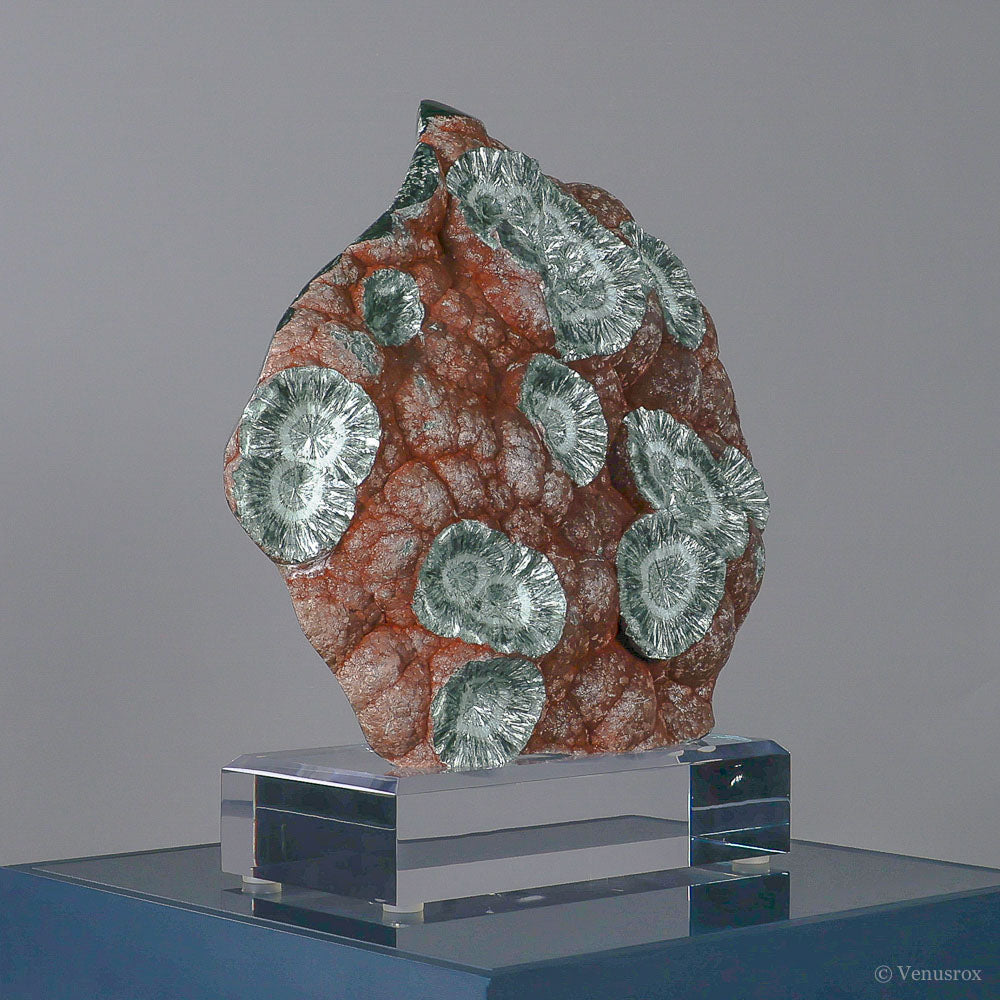 Seraphinite Polished/Natural Crystal from Korshunovskoye Iron Scary Deposit, Irkutskaya Oblast, Siberia, Russia mounted on a bespoke stand | Venusrox