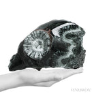 Seraphinite Polished/Natural Crystal from Korshunovskoye Iron Scary Deposit, Irkutskaya Oblast, Siberia, Russia | Venusrox