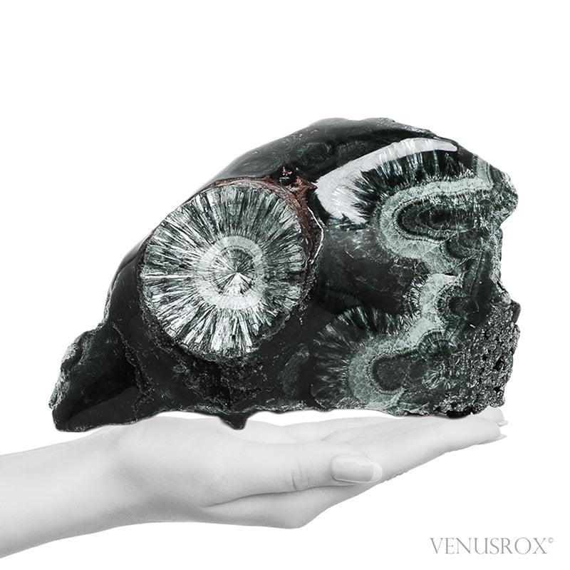 Seraphinite Polished/Natural Crystal from Korshunovskoye Iron Scary Deposit, Irkutskaya Oblast, Siberia, Russia | Venusrox