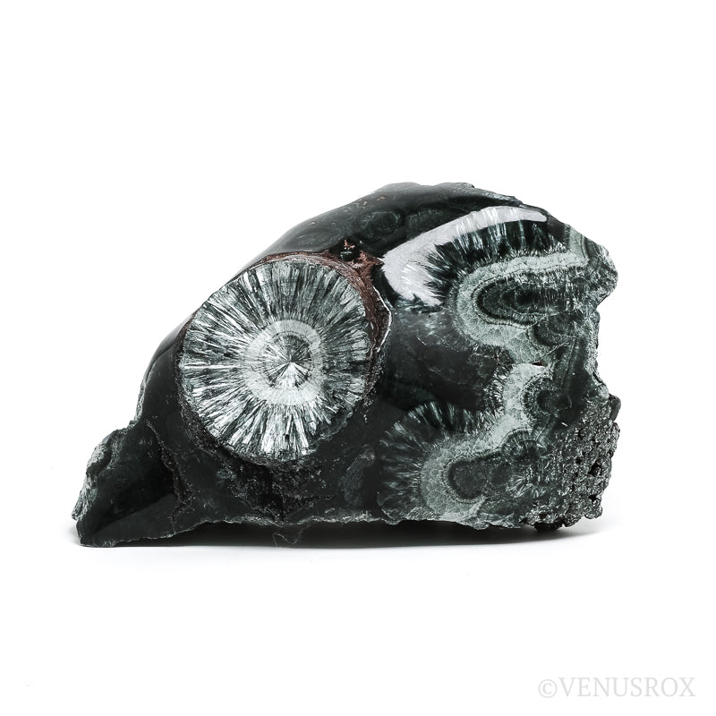 Seraphinite Polished/Natural Crystal from Korshunovskoye Iron Scary Deposit, Irkutskaya Oblast, Siberia, Russia | Venusrox