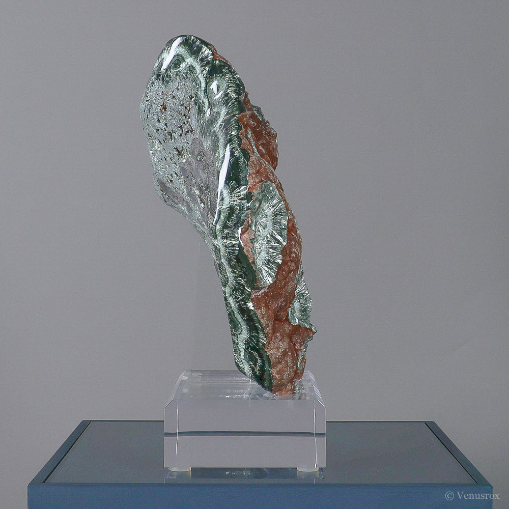 Seraphinite Polished/Natural Crystal from Korshunovskoye Iron Scary Deposit, Irkutskaya Oblast, Siberia, Russia mounted on a bespoke stand | Venusrox