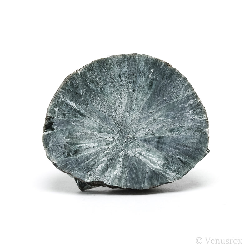 Seraphinite Polished/Natural Slice from the Korshunovskoye Iron Scary Deposit, Irkutskaya Oblast, Siberia, Russia | Venusrox