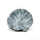 Seraphinite Polished/Natural Slice from the Korshunovskoye Iron Scary Deposit, Irkutskaya Oblast, Siberia, Russia | Venusrox