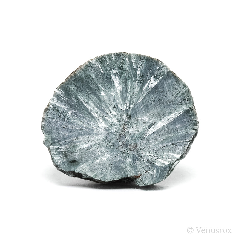 Seraphinite Polished/Natural Slice from the Korshunovskoye Iron Scary Deposit, Irkutskaya Oblast, Siberia, Russia | Venusrox