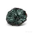 Seraphinite Polished/Natural Slice from the Korshunovskoye Iron Scary Deposit, Irkutskaya Oblast, Siberia, Russia | Venusrox