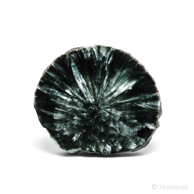 Seraphinite Polished/Natural Slice from the Korshunovskoye Iron Scary Deposit, Irkutskaya Oblast, Siberia, Russia | Venusrox