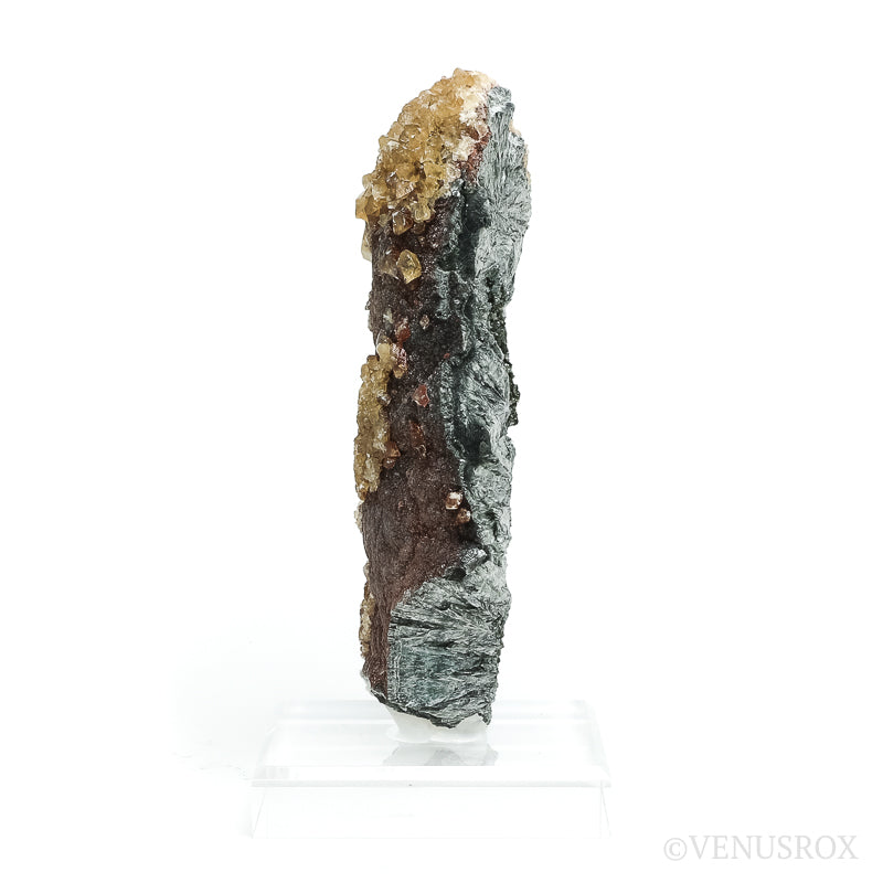 Seraphinite with Calcite Natural Crystal from Korshunovskoye Iron Scary Deposit, Irkutskaya Oblast, Siberia, Russia mounted on a stand | Venusrox