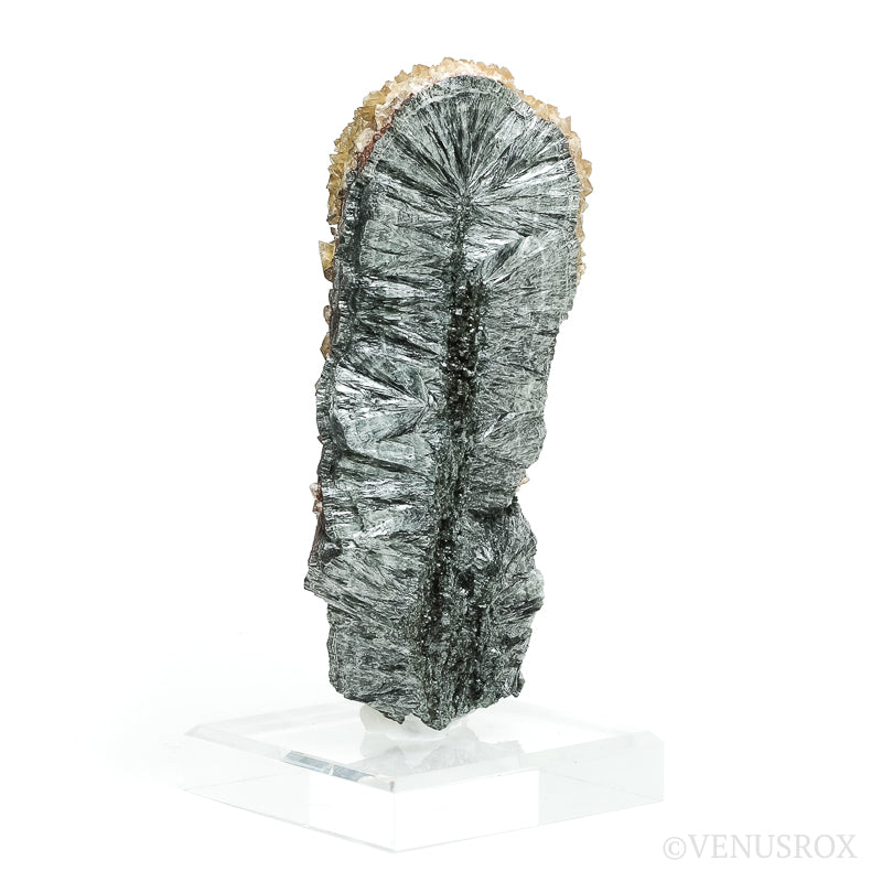 Seraphinite with Calcite Natural Crystal from Korshunovskoye Iron Scary Deposit, Irkutskaya Oblast, Siberia, Russia mounted on a stand | Venusrox